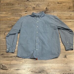 American Eagle Outfitters Blue and White Gingham Shirt